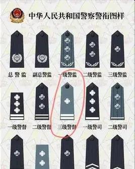 三级警督警衔图案图片