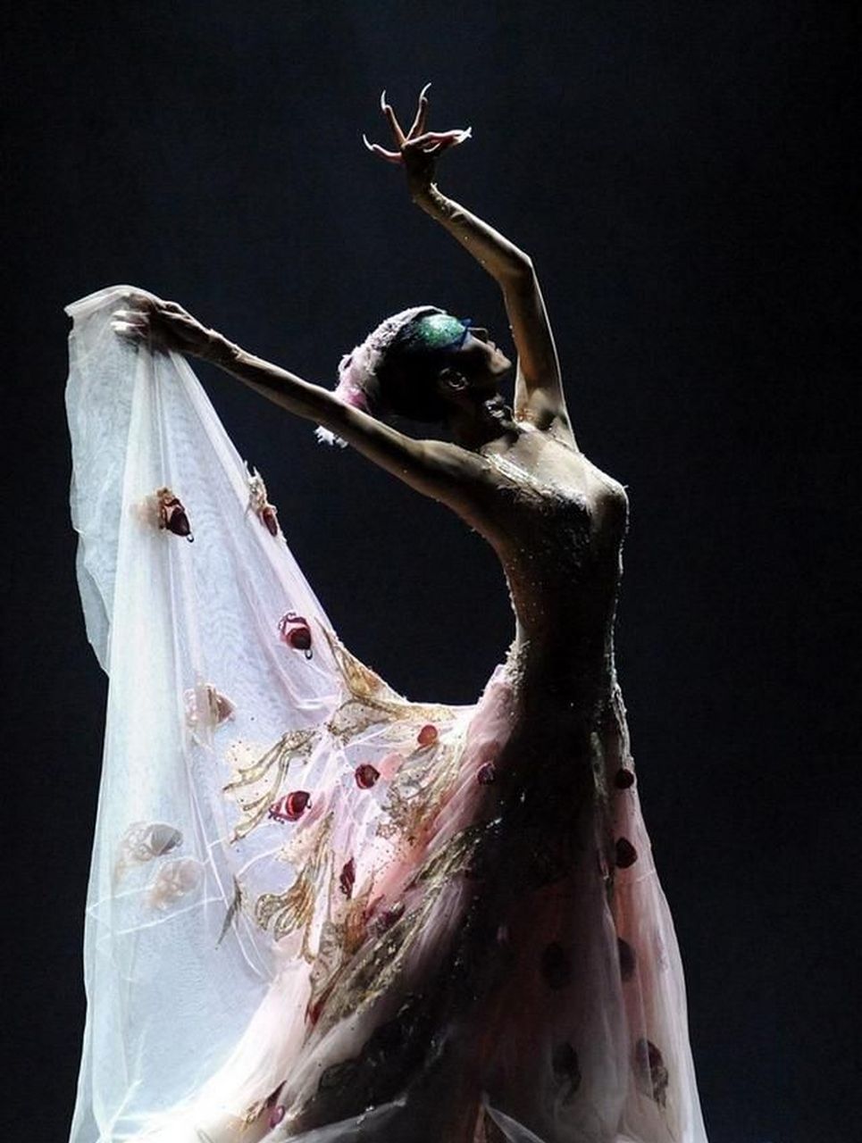 [原文:杨丽萍的《彩舞》:一场