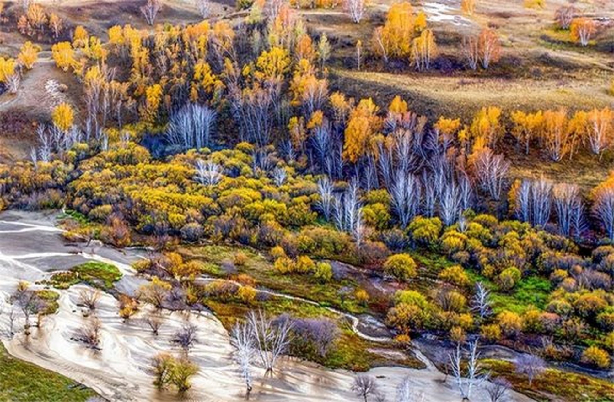 木兰秋狝规模空前绝后,乾隆时期震撼登场.