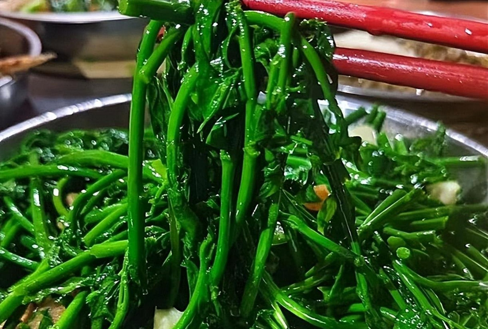 树仔菜是海南五指山地区的特色蔬菜,富含维生素和微量元素,可清热解毒