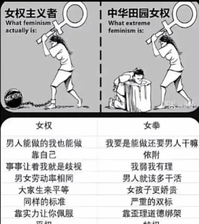 醒醒吧,女权们!别被网络误导了你!