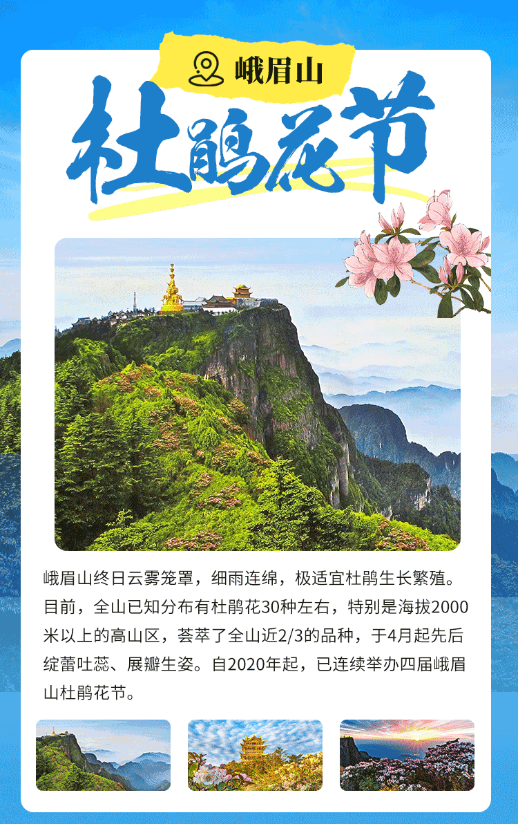 百度城市大会成都站,品牌墙璀璨亮相,峨眉山城市名片描绘智慧景区新