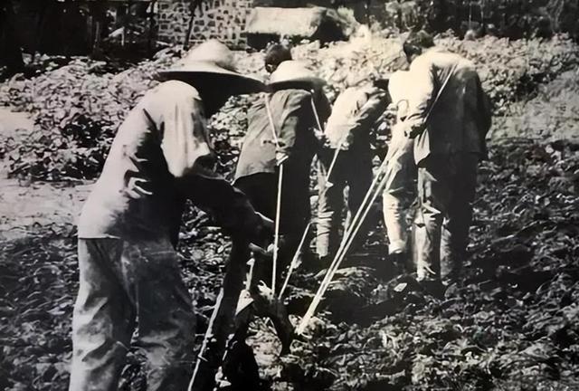 安徽小岗村生死状图片