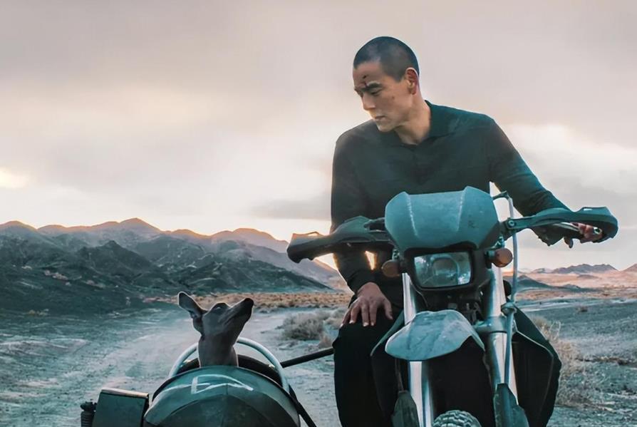 彭于晏新片《狗阵》硬汉归来!二郎的不归路,一个充满挑战的旅程