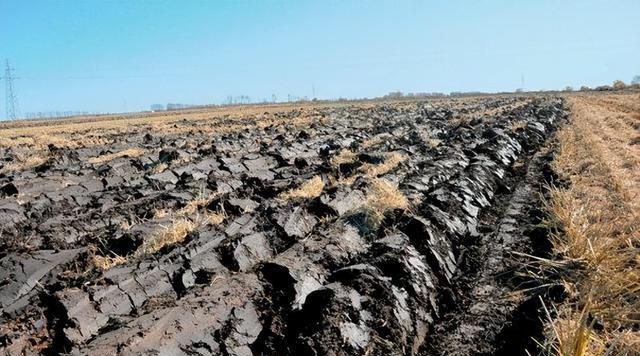 北大荒开垦了半世纪,好不容易年产百亿斤,为什么要退耕还荒?