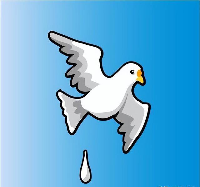 为啥没有鸟敢在故宫上拉屎?还真不是迷信,而是有科学依据的!