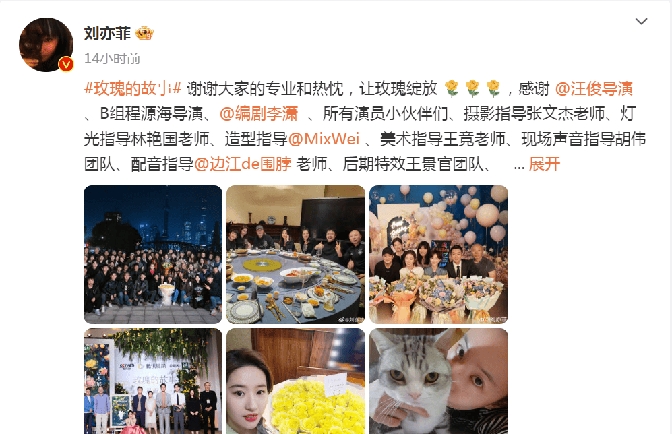 《玫瑰的故事》收官