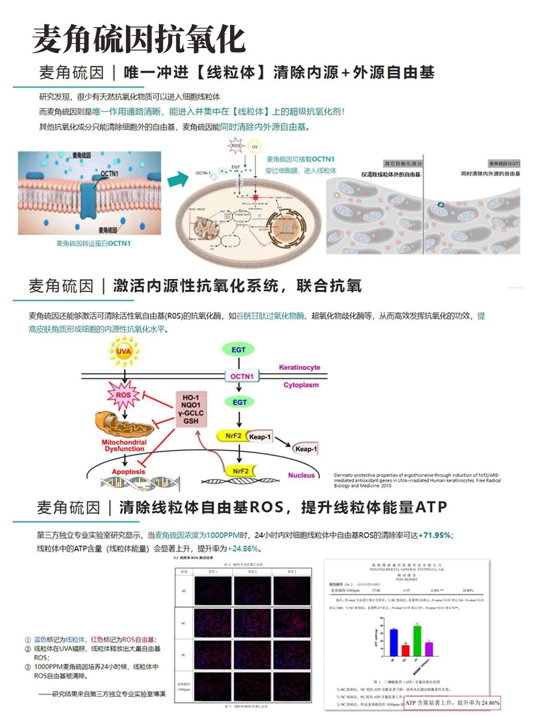 麦角硫因结构图片