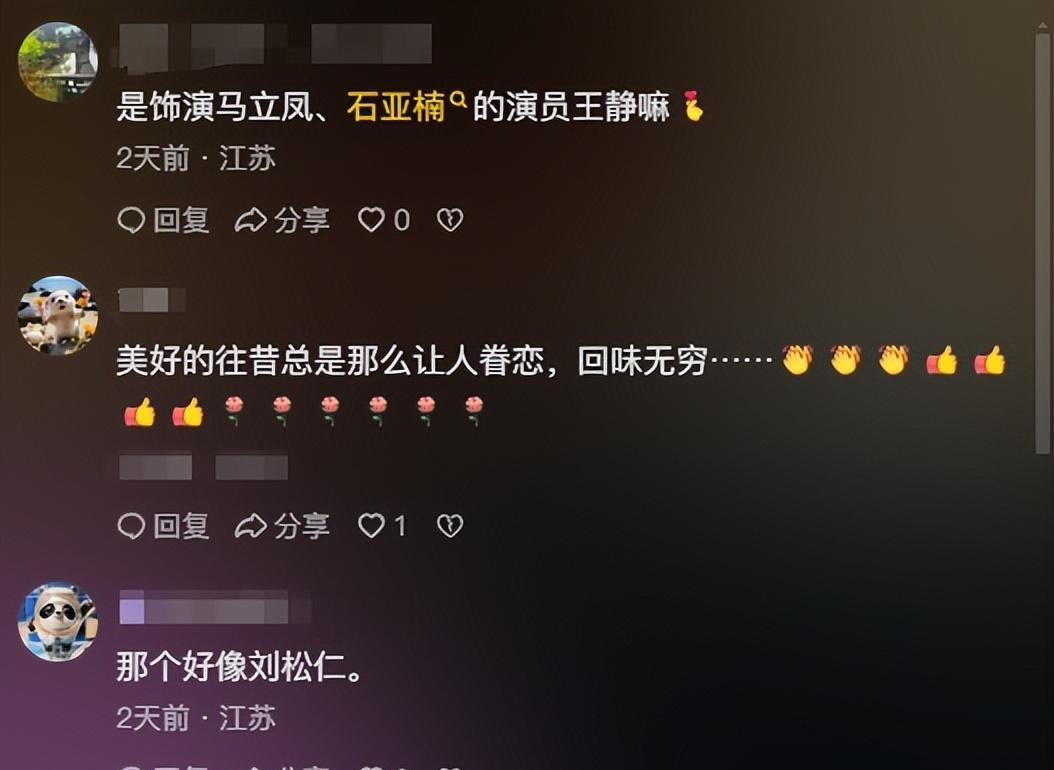 石亚南演员是谁图片