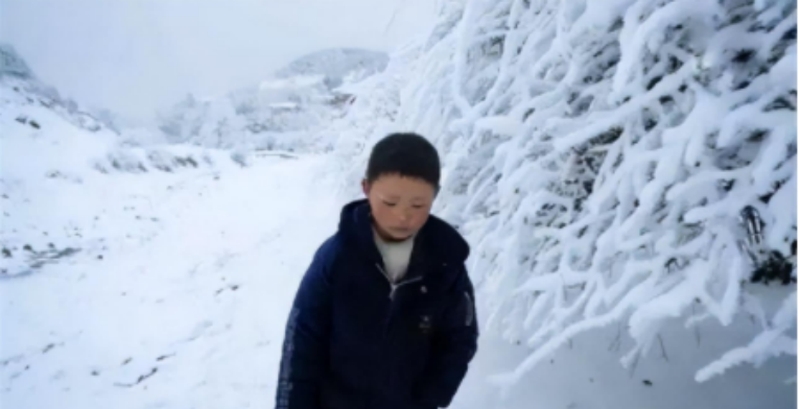 王福满冰花男孩现状图片