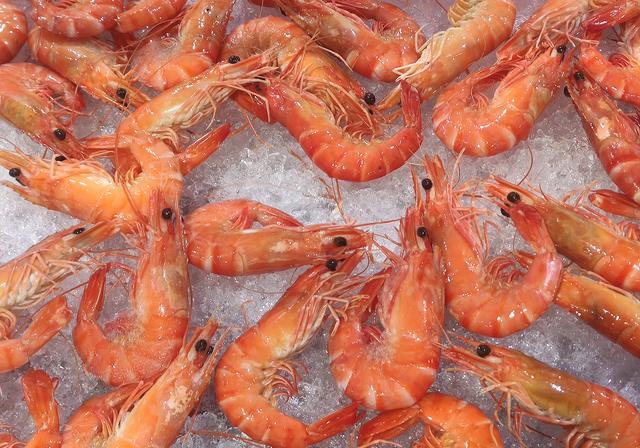 鹰爪虾探秘:野生还是人工养殖?详细对比解析