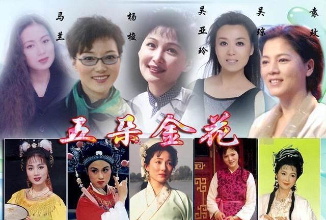 五朵金花的儿女演员表图片