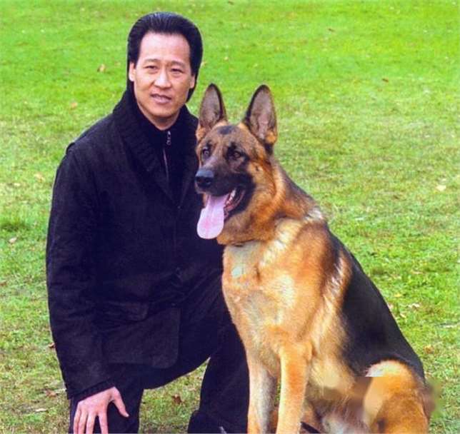 陈金飞护道刘亦菲,捧红娇妻杨采钰,揭秘他的成功秘诀