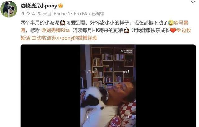 马景涛闷声干大事!疑美国求婚画面曝光太浪漫,三婚妻子撞脸马蓉