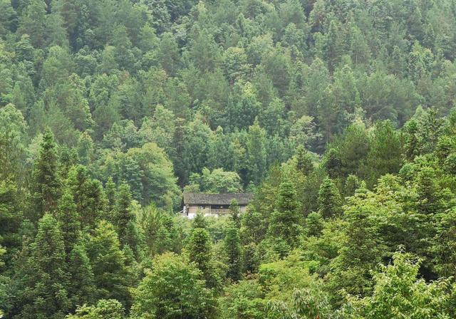 河南有一个被称为"第一鬼村"的村庄,充满离奇事件