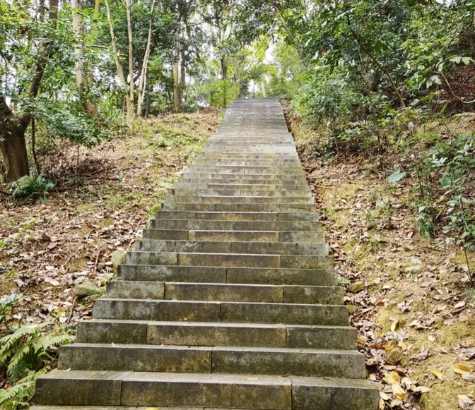 周末徒步深圳平峦山公园,老人和小孩都适合爬的山