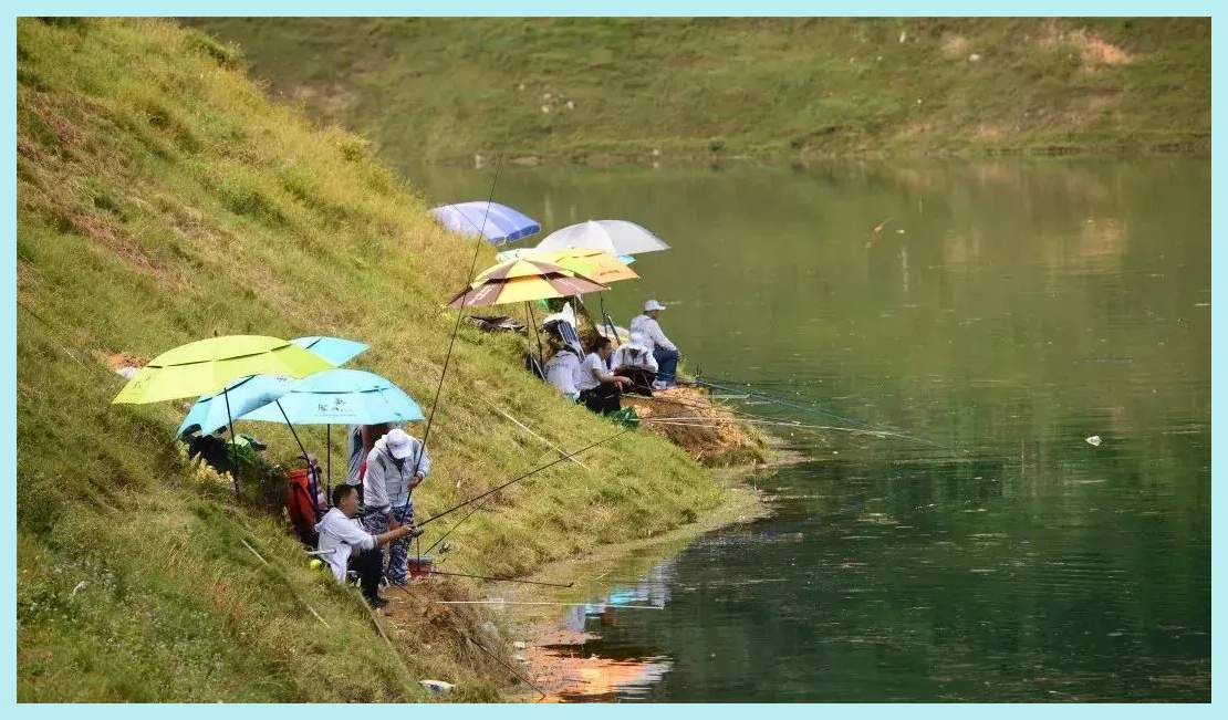 万峰湖奇观:疯狂繁殖的非洲鲫鱼,年捕获量惊人,钓友们钓到手软