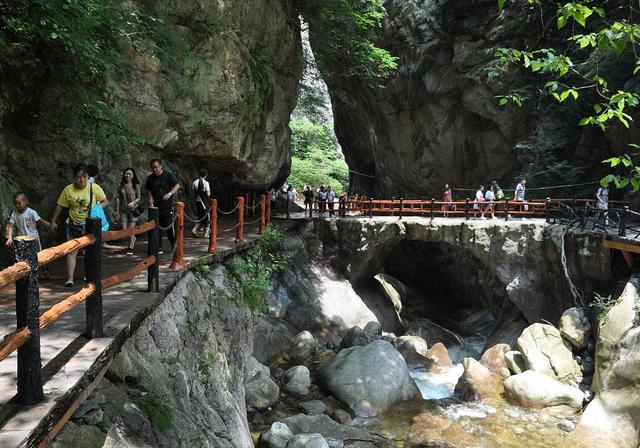 河南八大清凉避暑景点,适合家庭周末游玩,让您凉爽一夏