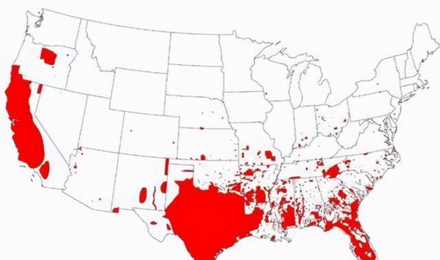 600万头猪入侵美,晚上刨祖坟白天撞战机,占领39个州,美国惨败