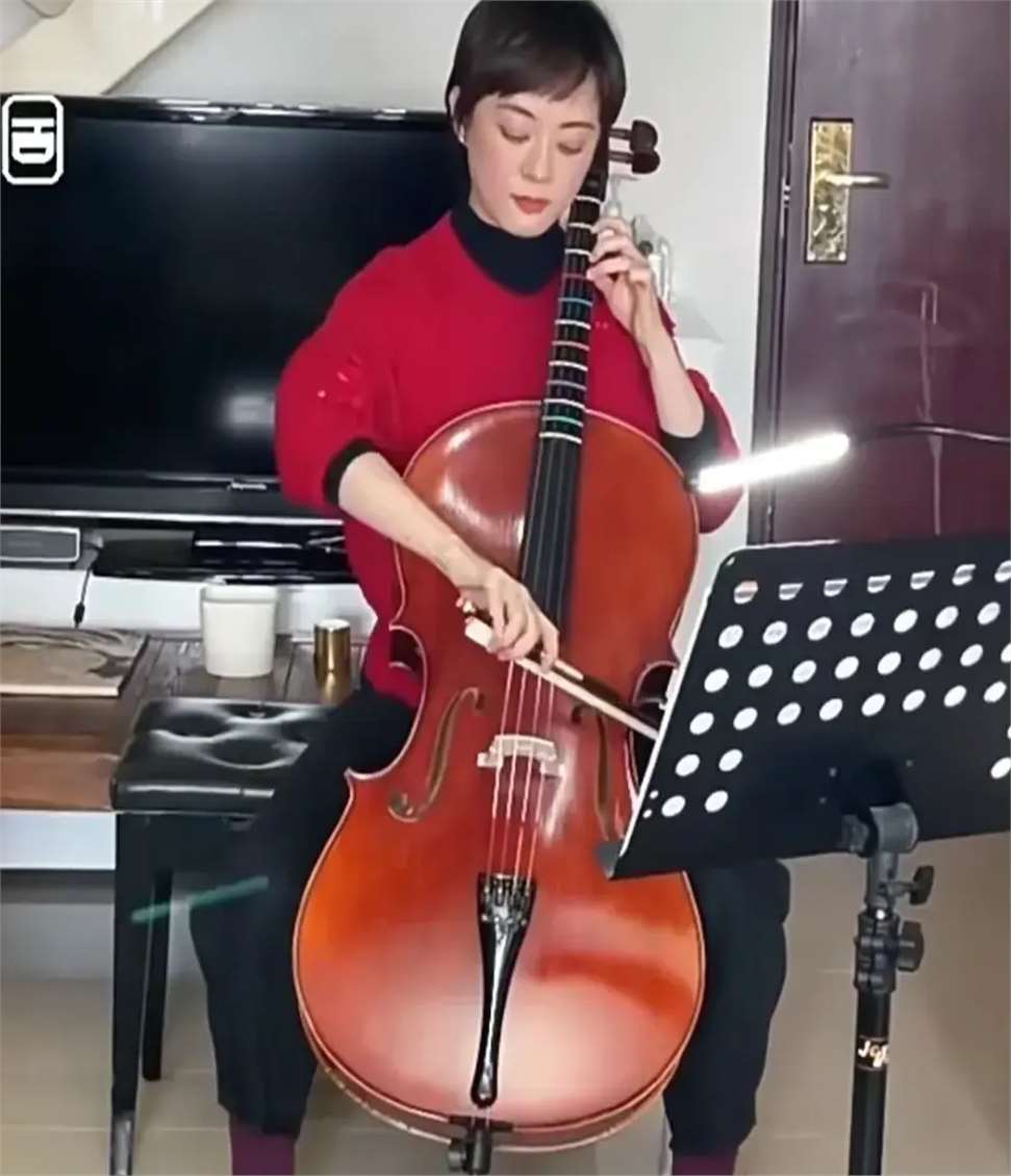 文凭代表不了水平,学历代表不了实力,娱乐圈低学历的5位才女!