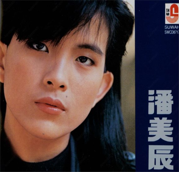 男女通吃,一张满脸胡茬的照片,彻底撕下了潘美辰的遮羞布!