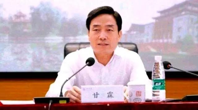 四川大学党委书记,甘霖简历