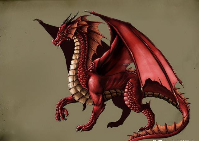 印度龙,日本龙,凯尔特红龙,西方毒龙,他们和中国龙有何不同?