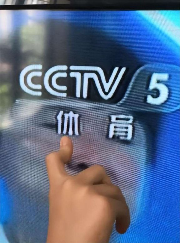 cctv5主持人体育频道图片