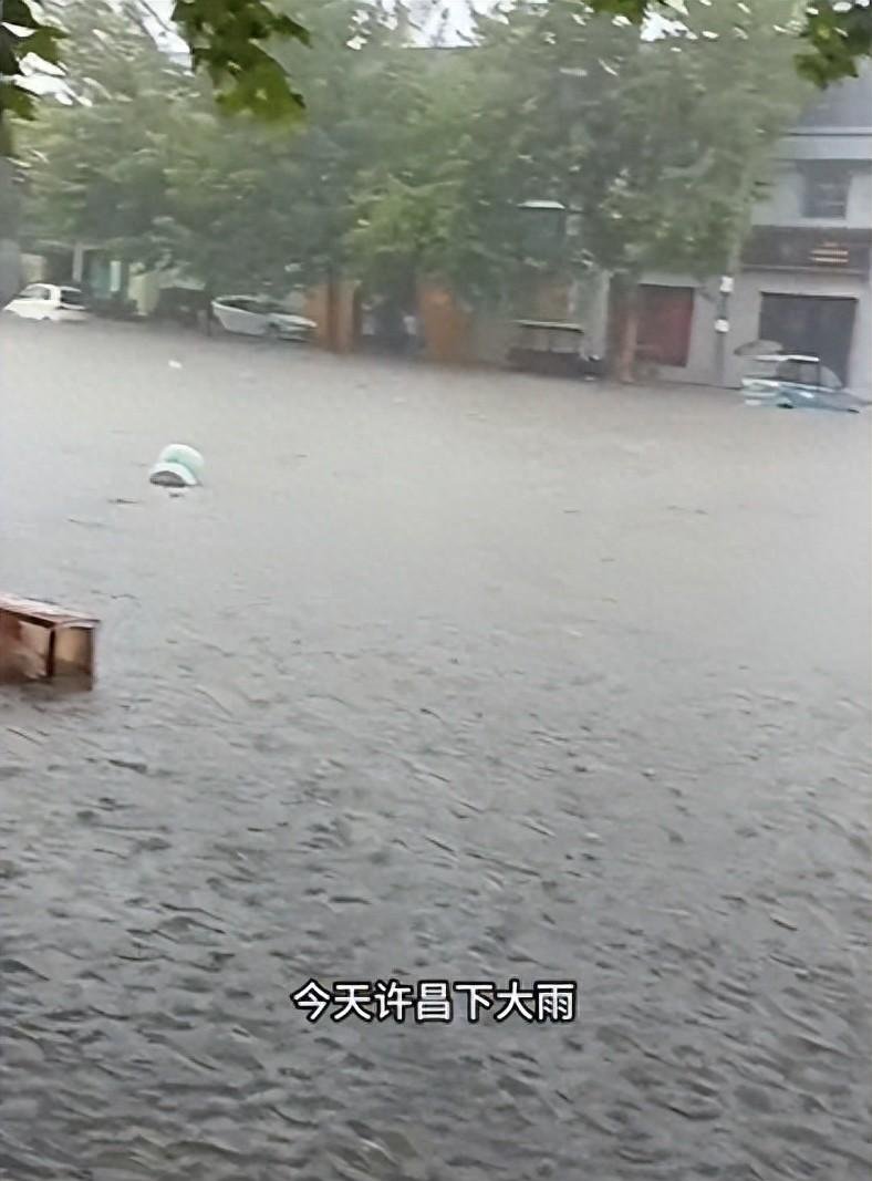 胖东来又圈粉了!许昌暴雨成海,员工无偿撑伞,细节拉满