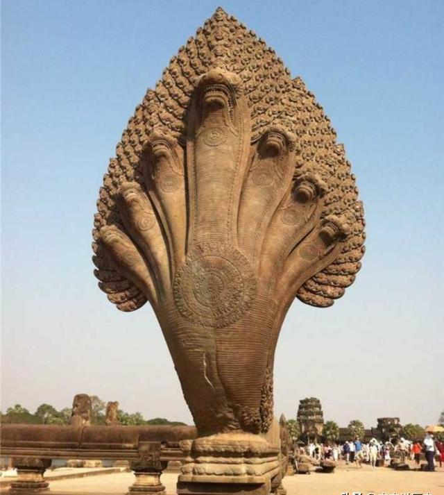 印度龙,日本龙,凯尔特红龙,西方毒龙,他们和中国龙有何不同?