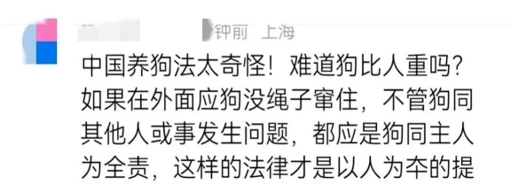 人命抵狗命?狗未拴绳被压,女子砸车还叫嚣,不见人影且不赔偿