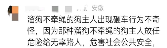 人命抵狗命?狗未拴绳被压,女子砸车还叫嚣,不见人影且不赔偿
