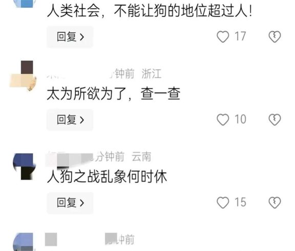 人命抵狗命?狗未拴绳被压,女子砸车还叫嚣,不见人影且不赔偿