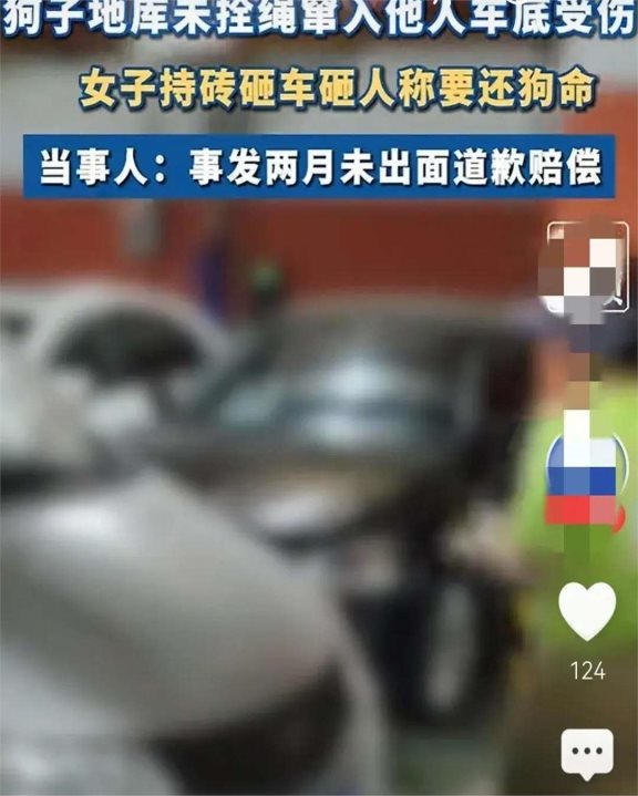 人命抵狗命?狗未拴绳被压,女子砸车还叫嚣,不见人影且不赔偿