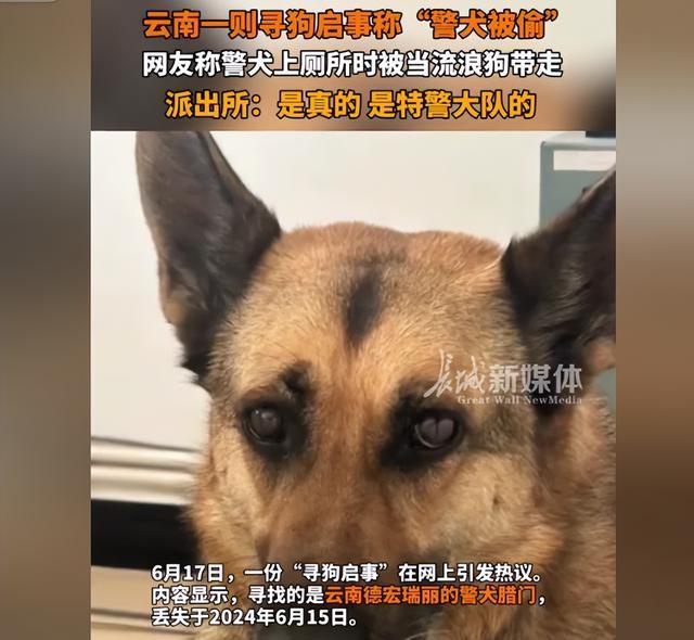 笑死!云南瑞丽一警犬被偷,网友:缺乏反诈意识,怎么当上的警犬