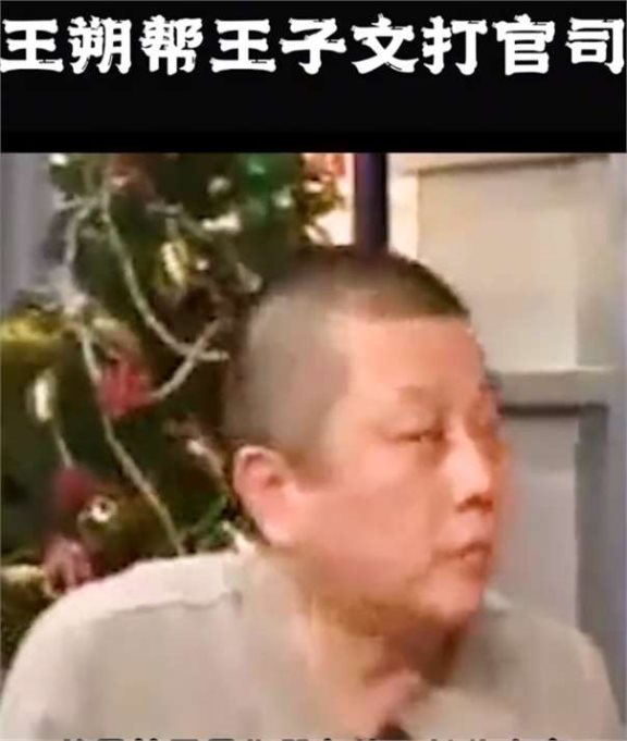 王子成父图片