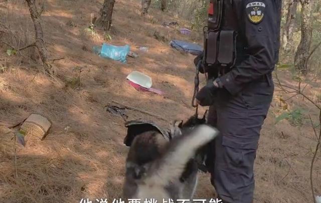 笑死!云南瑞丽一警犬被偷,网友:缺乏反诈意识,怎么当上的警犬
