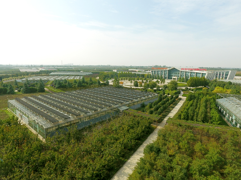 从福建泉州来河南许昌的这2个月,彻底颠覆了我对许昌的认知