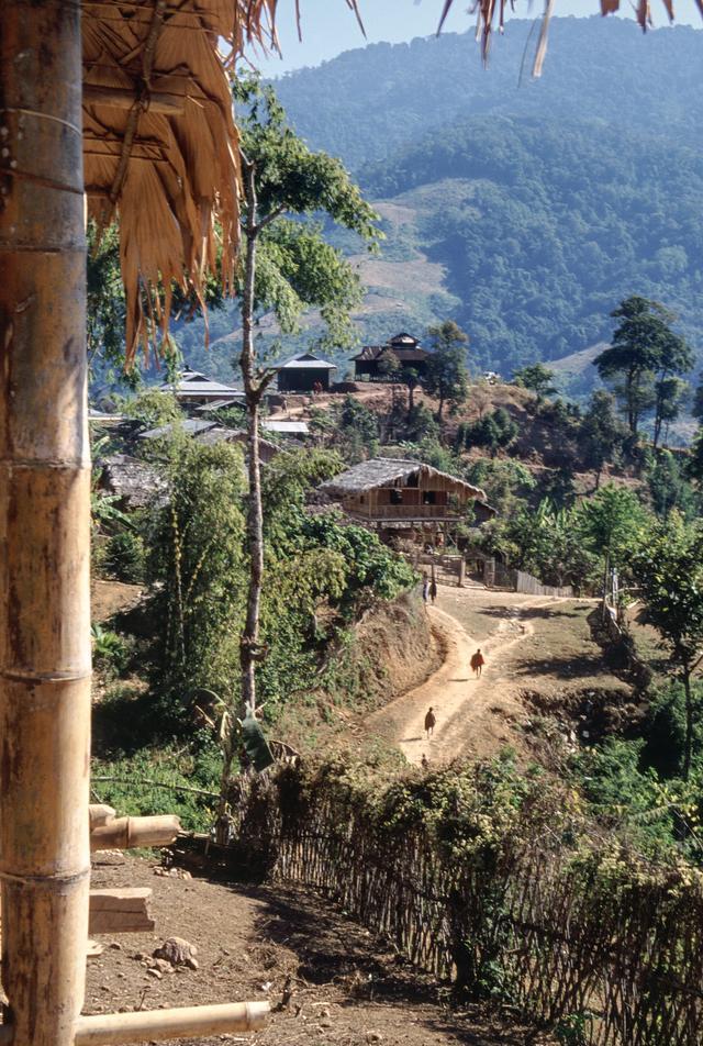 基诺山寨景区介绍,吸引无数游客探寻