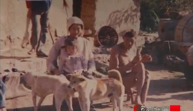 86年,摄影师在神农架拍到"猴娃",专家推测是野人,结局如何?