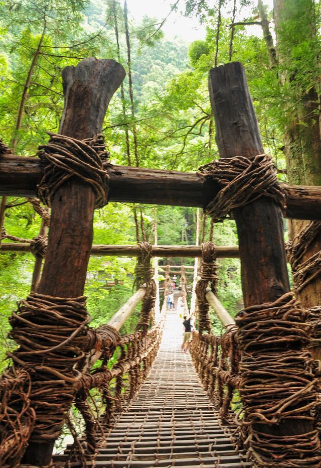 基诺山寨景区介绍,吸引无数游客探寻
