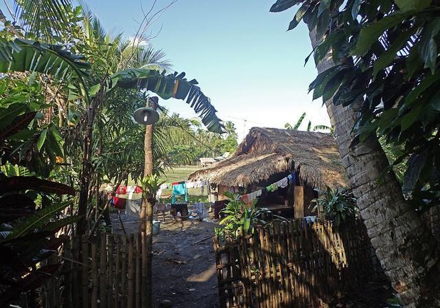 基诺山寨景区介绍,吸引无数游客前来探寻