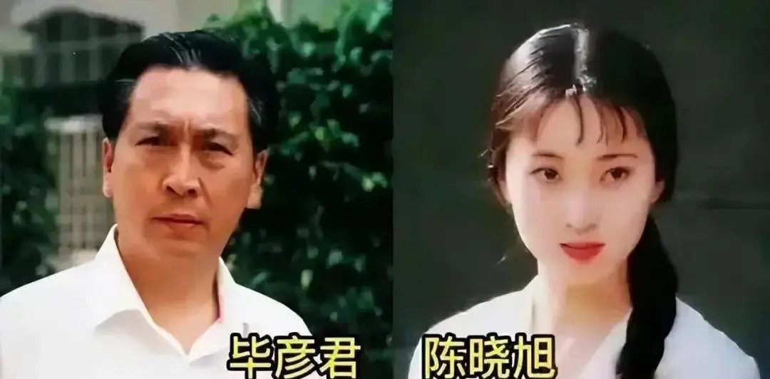 陈晓旭丈夫毕彦君图片