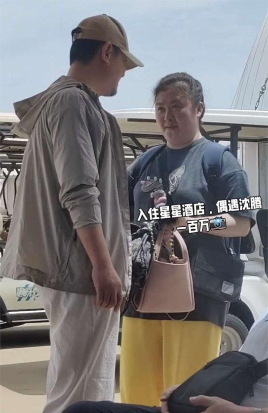 大媳妇出游简介图片