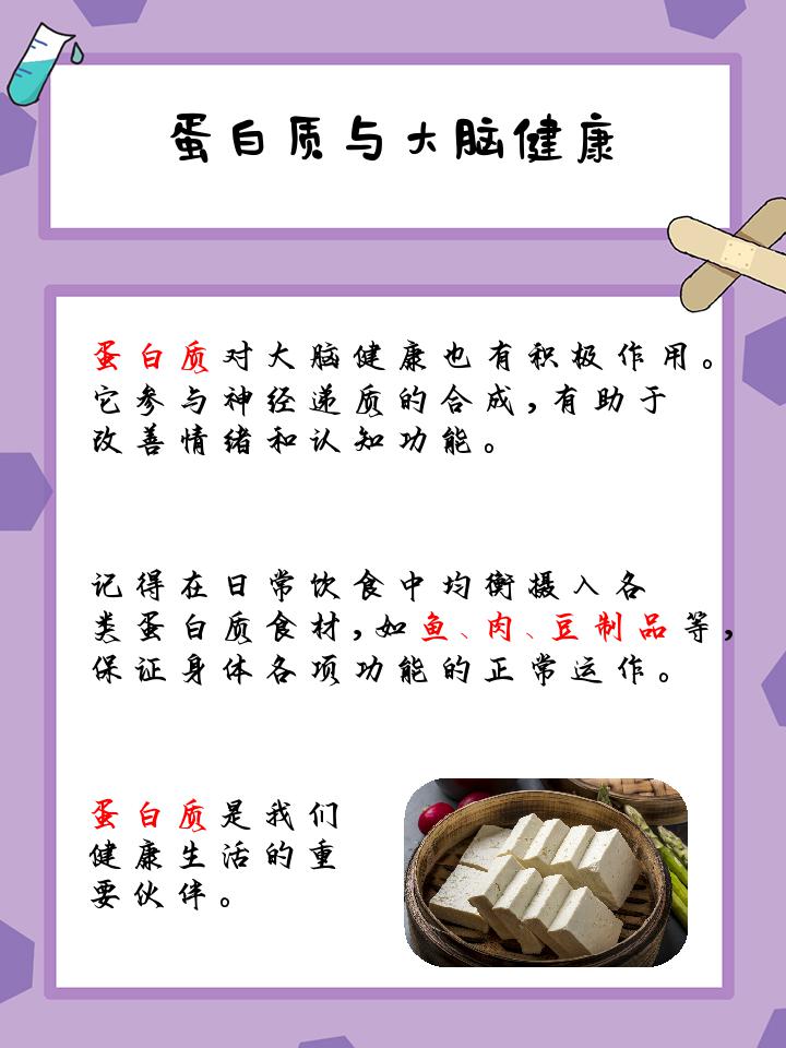 蛋白质的功能和作用,你了解多少?