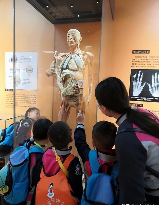 荷兰"重口味"博物馆,内部人体结构逼真,女游客不敢看