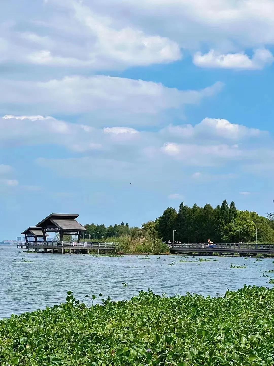 首推【阳澄湖旅游度假中心】,昆山市的瑰宝,漫步在绰墩遗址的古韵中