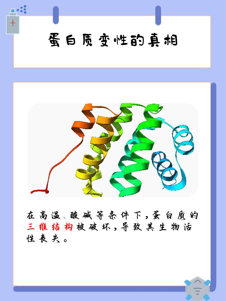 蛋白质变性结果是什么?