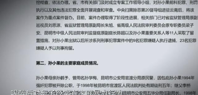 孙小果关系网图片