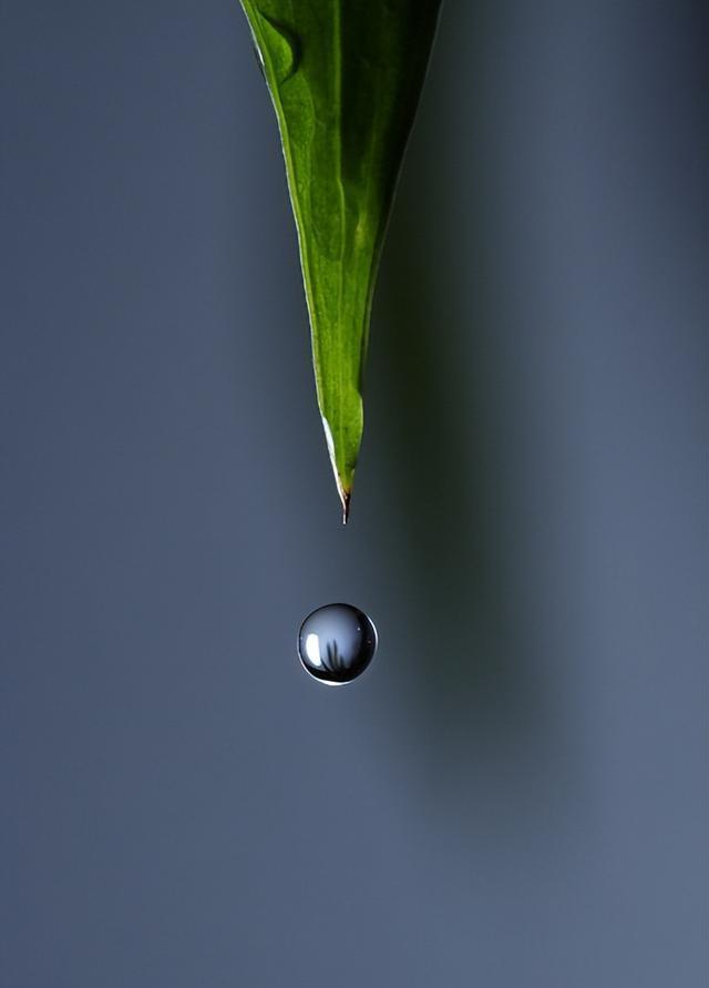 水滴摄影技术和设备:微距摄影,光线控制和稳定性技巧